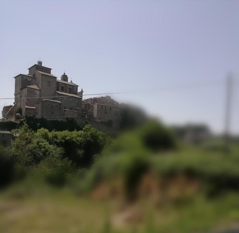 Alloggio Turistico Casa Vicolo Pincio Grotte di Castro Extérieur photo